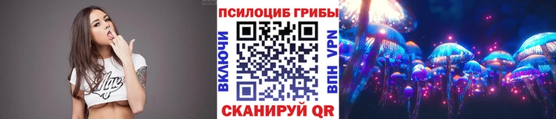 Галлюциногенные грибы MAGIC MUSHROOMS  где продают   Могоча 