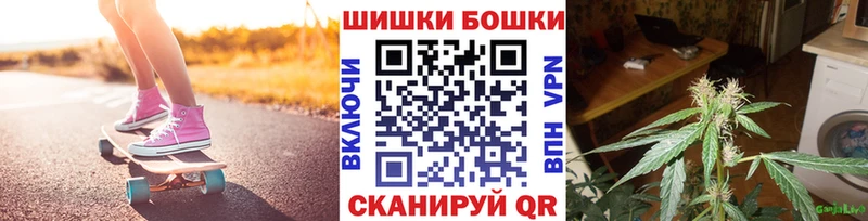 где можно купить   shop какой сайт  Бошки Шишки семена  Могоча 